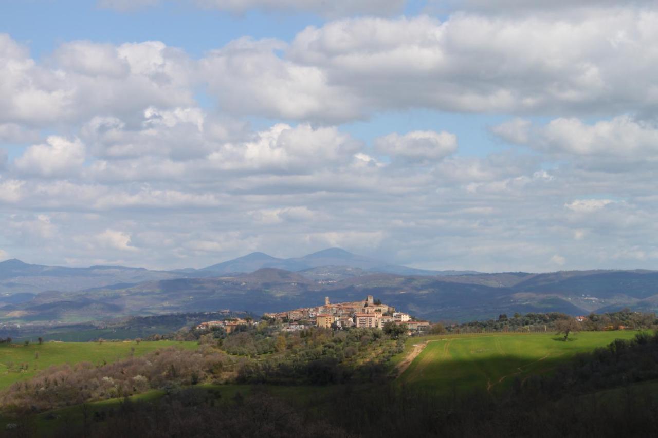 Manciano's Panorama Apartment
